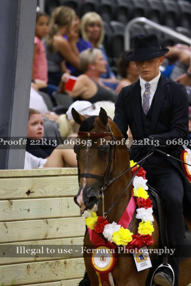 Proof 22R13_06895
