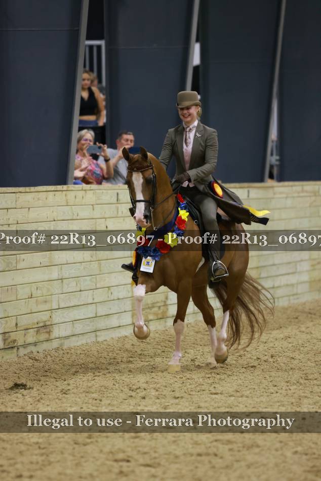 Proof 22R13_06897