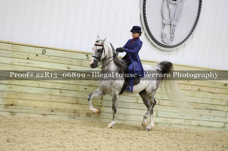 Proof 22R13_06899