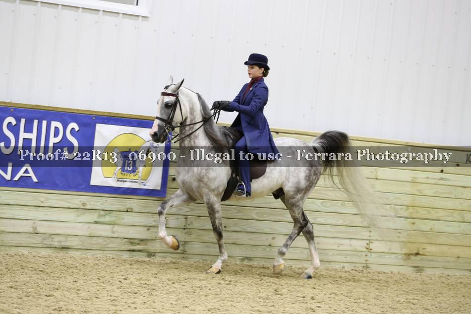 Proof 22R13_06900
