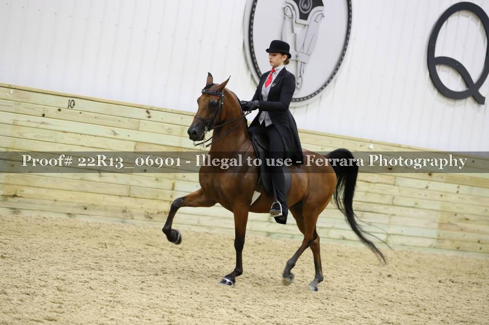 Proof 22R13_06901