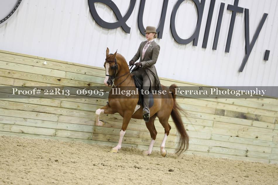 Proof 22R13_06905