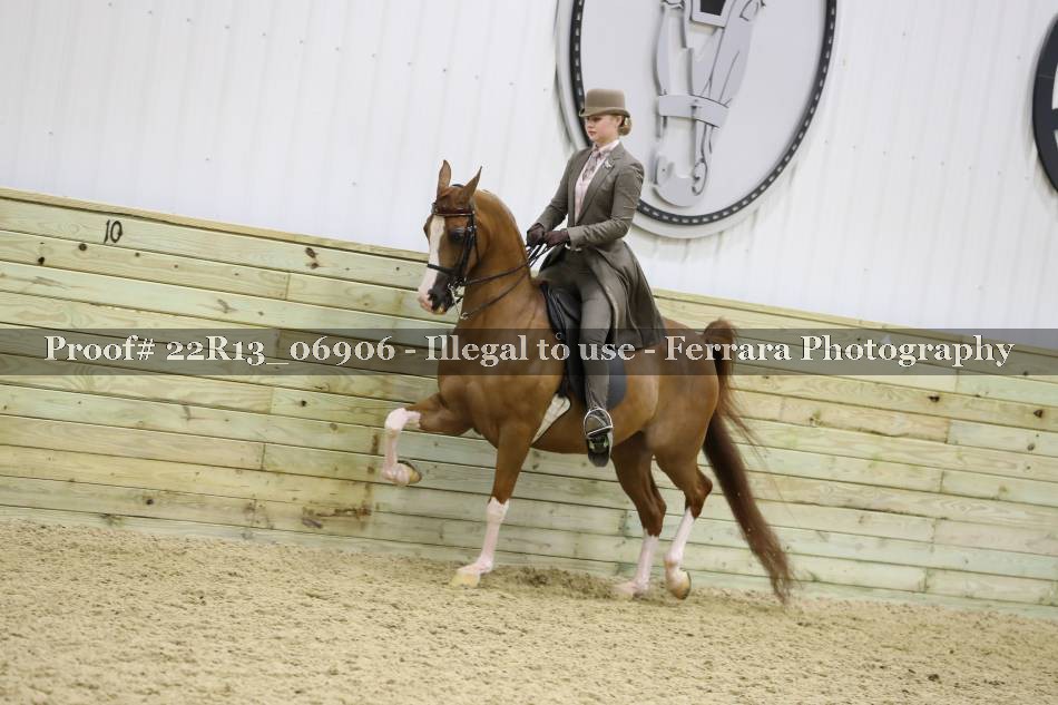 Proof 22R13_06906