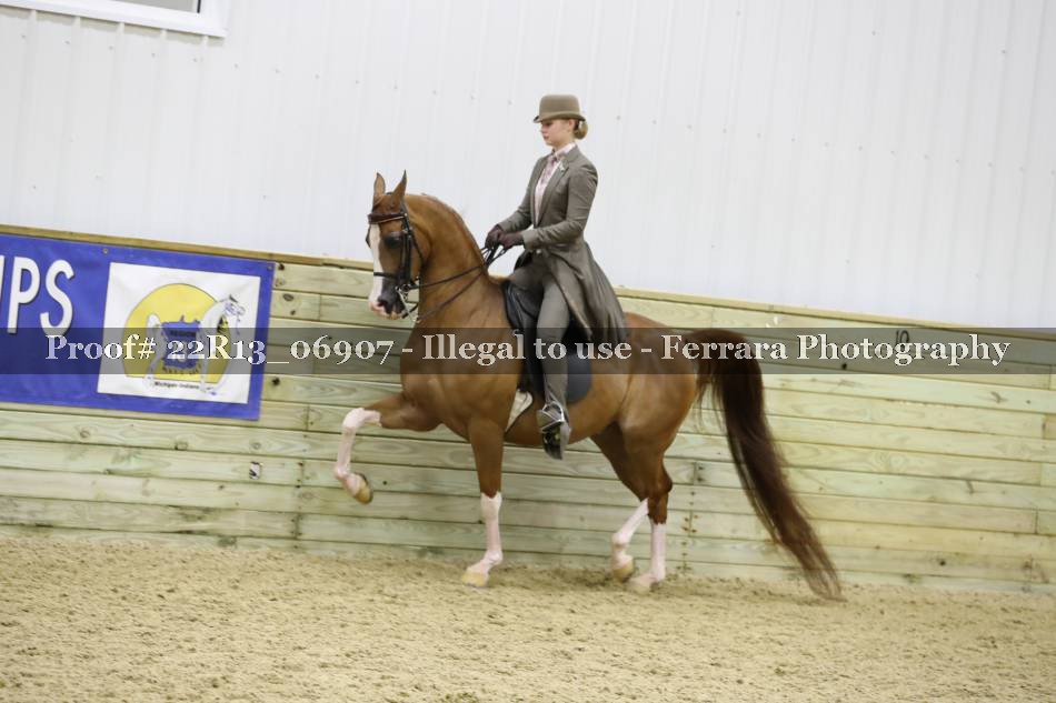 Proof 22R13_06907