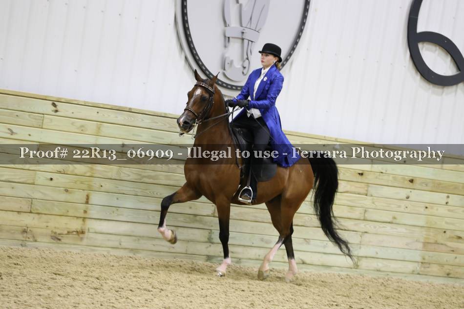 Proof 22R13_06909