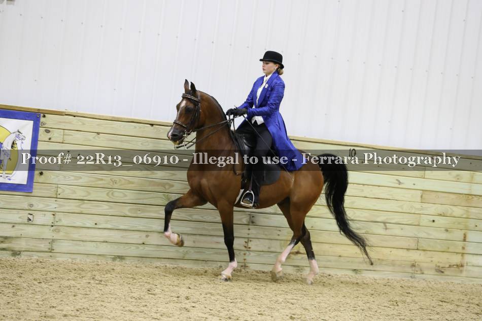 Proof 22R13_06910