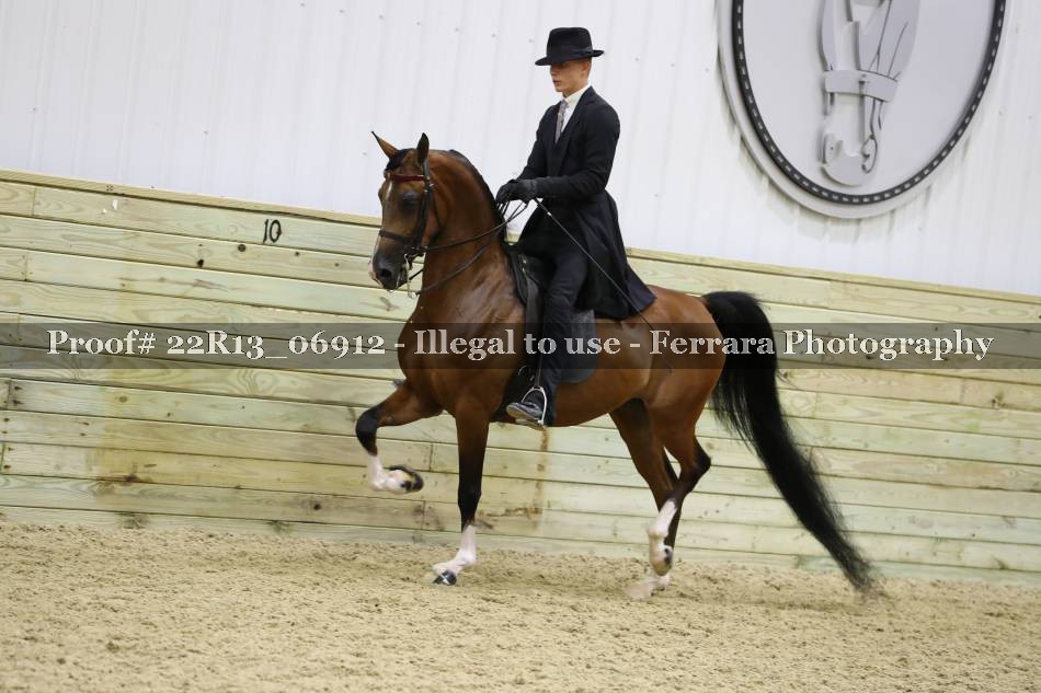 Proof 22R13_06912