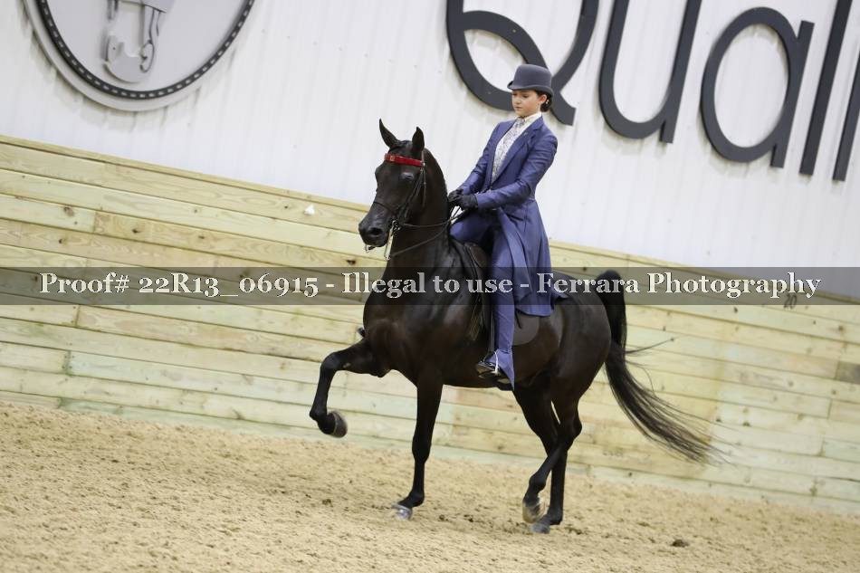 Proof 22R13_06915