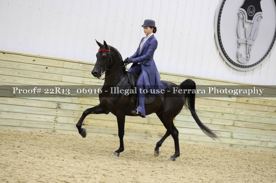 Proof 22R13_06916