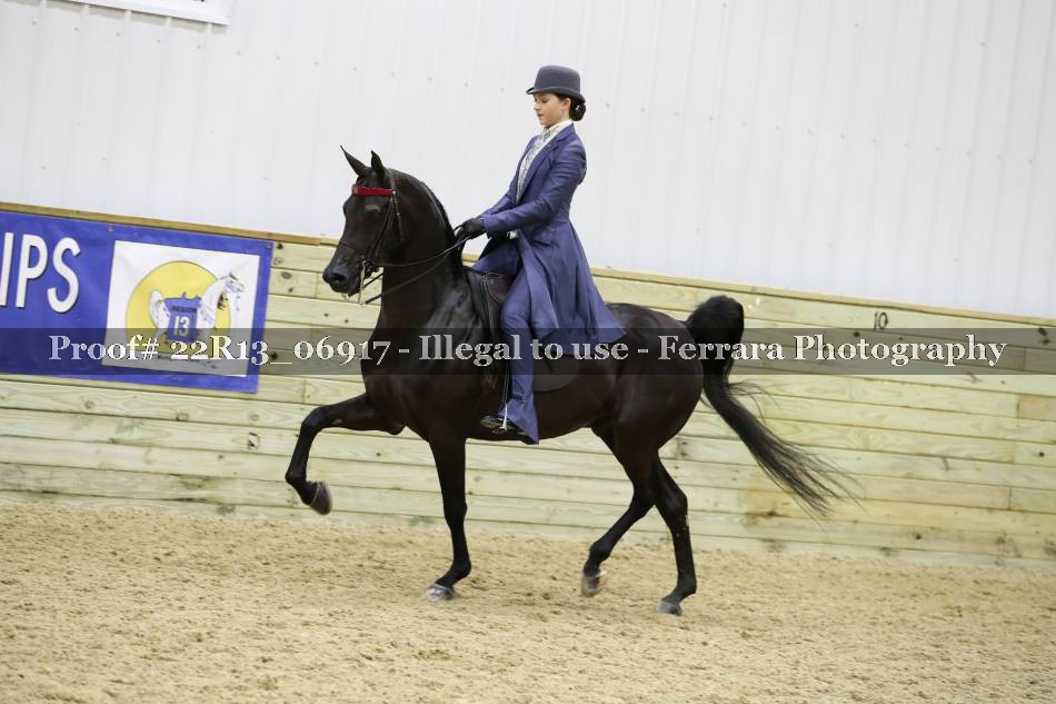Proof 22R13_06917