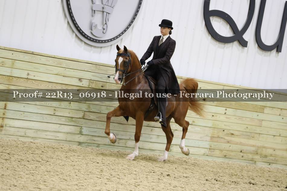 Proof 22R13_06918