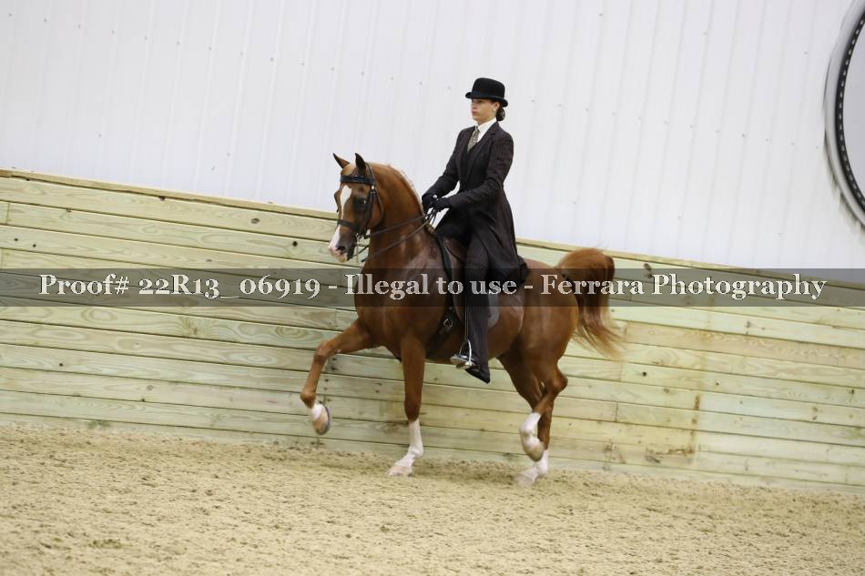Proof 22R13_06919
