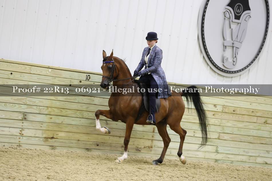 Proof 22R13_06921