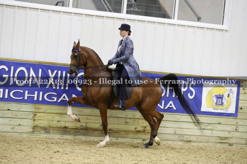 Proof 22R13_06923