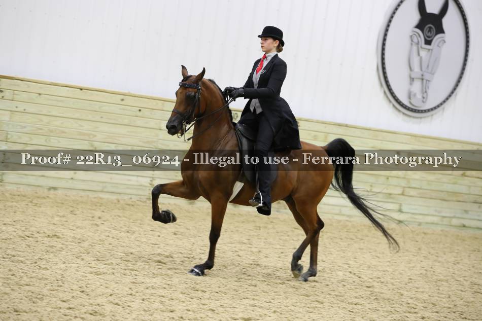 Proof 22R13_06924