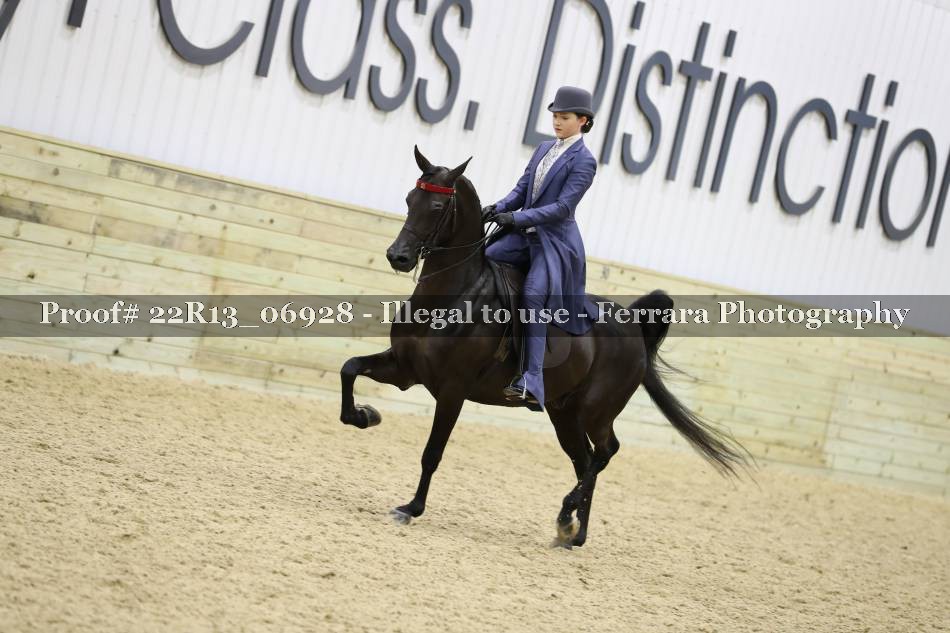 Proof 22R13_06928