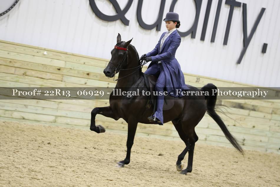 Proof 22R13_06929