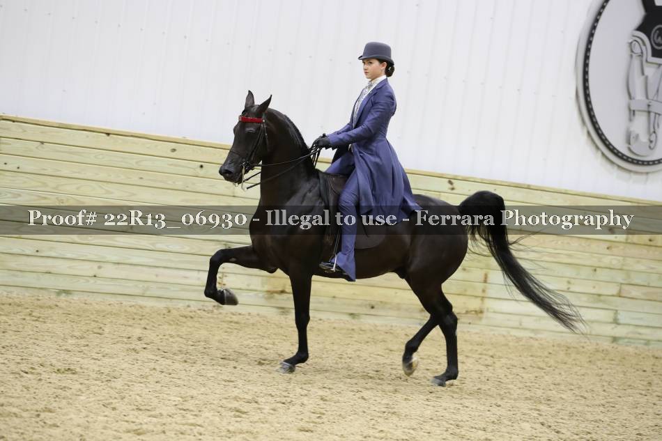 Proof 22R13_06930