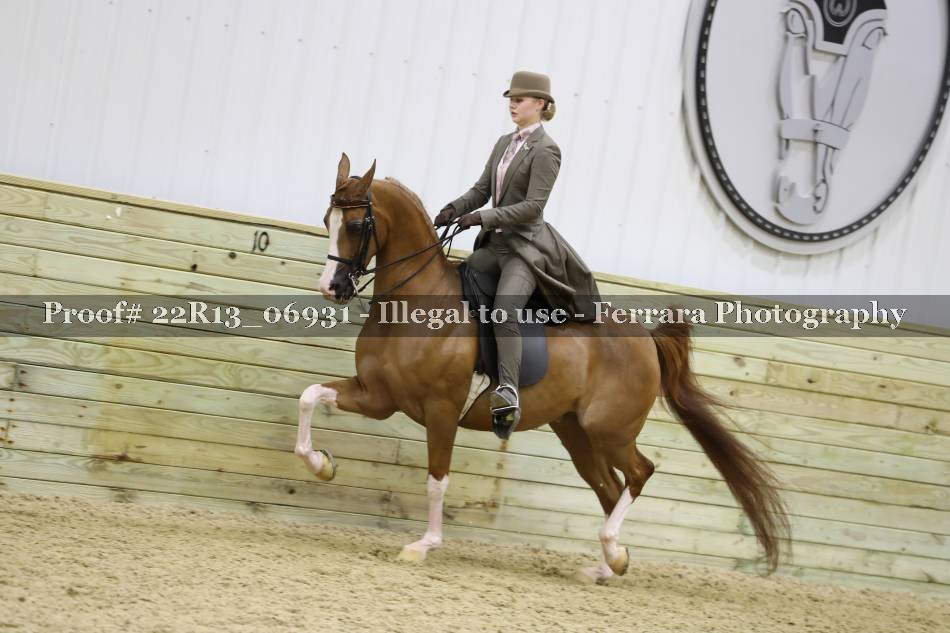 Proof 22R13_06931