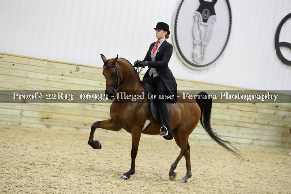 Proof 22R13_06933