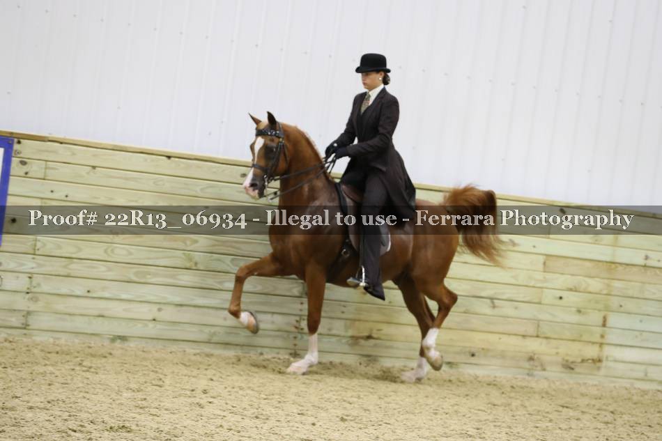 Proof 22R13_06934