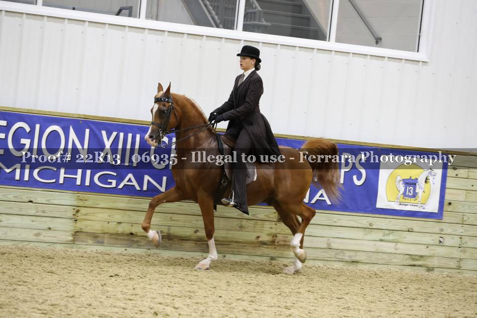 Proof 22R13_06935
