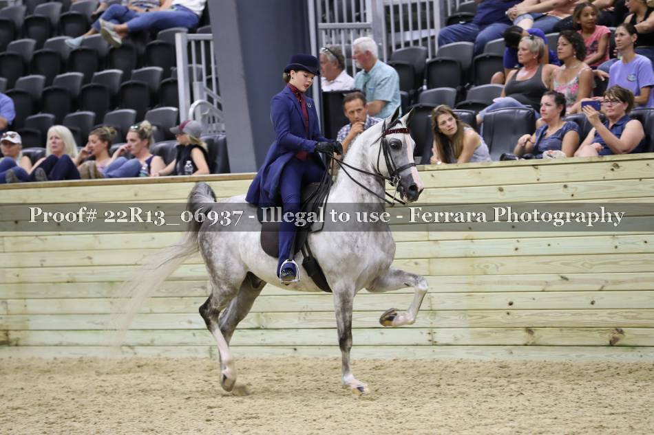 Proof 22R13_06937