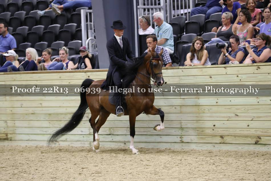 Proof 22R13_06939