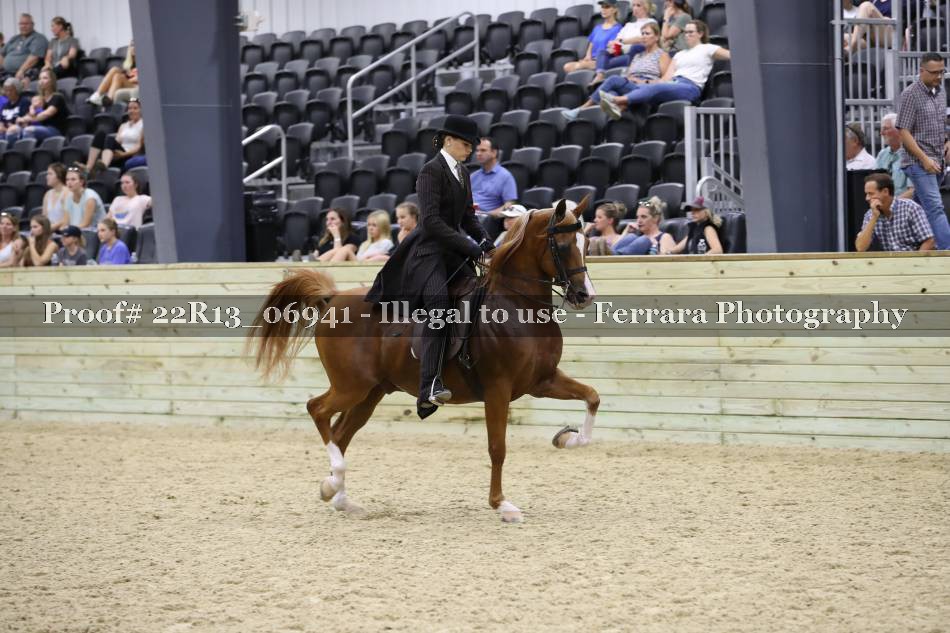 Proof 22R13_06941