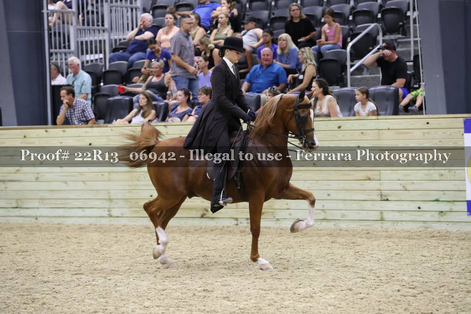 Proof 22R13_06942