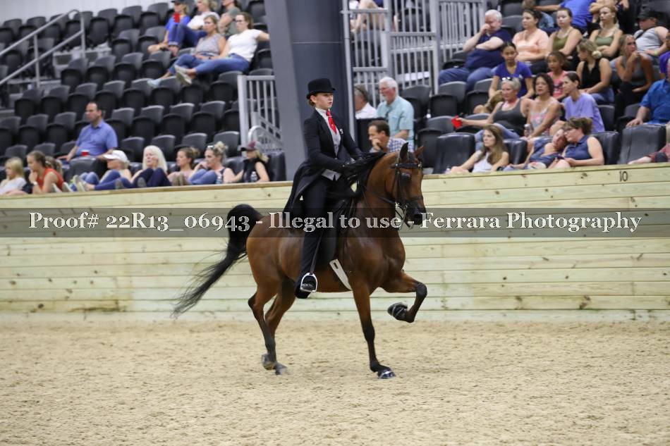 Proof 22R13_06943