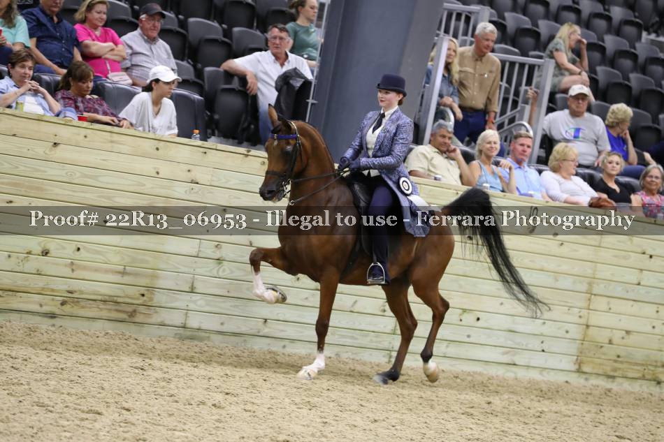 Proof 22R13_06953