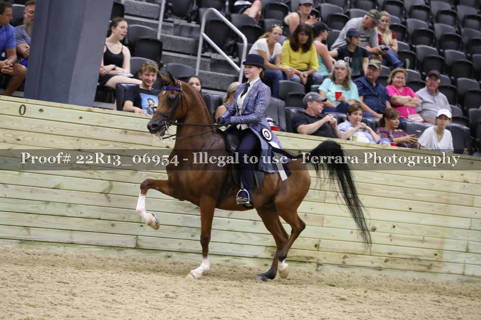 Proof 22R13_06954