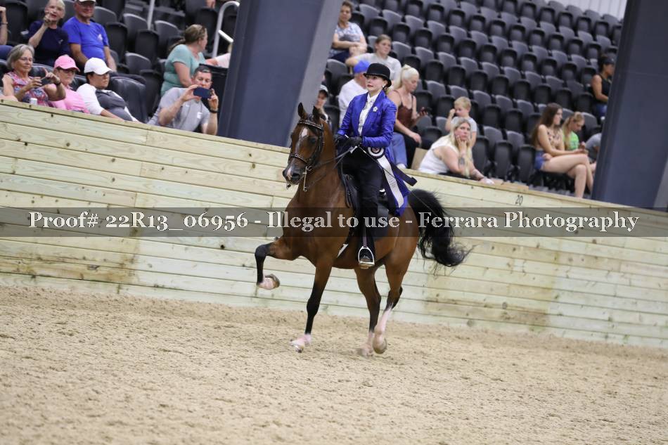 Proof 22R13_06956