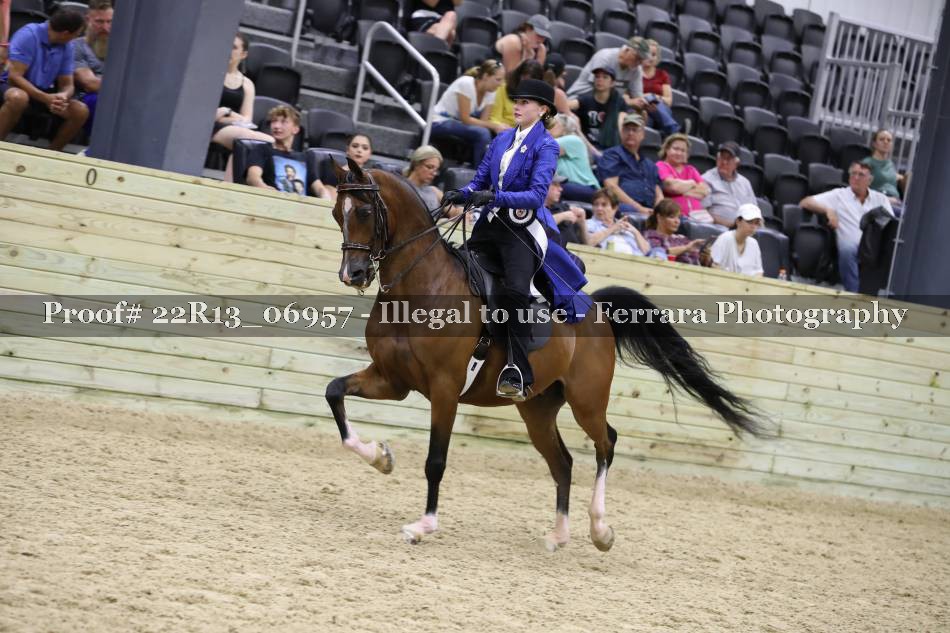 Proof 22R13_06957