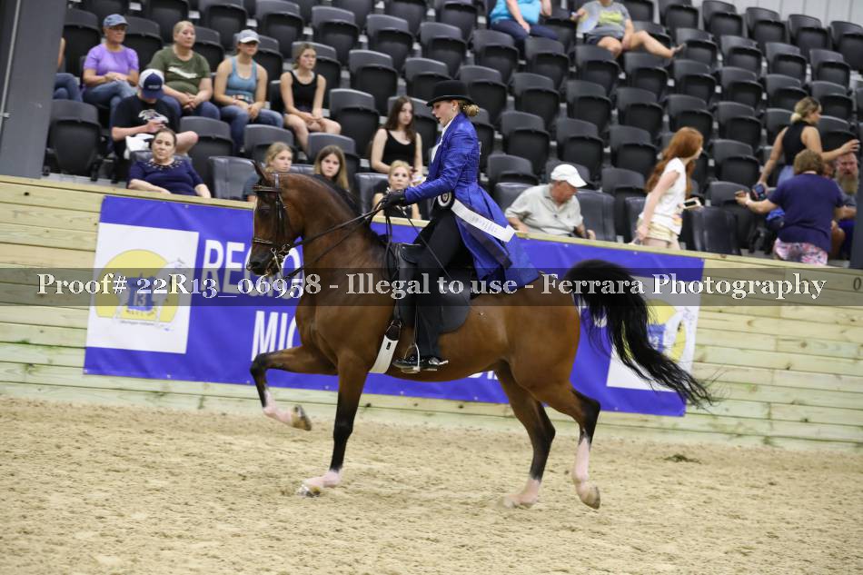 Proof 22R13_06958