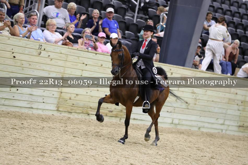 Proof 22R13_06959