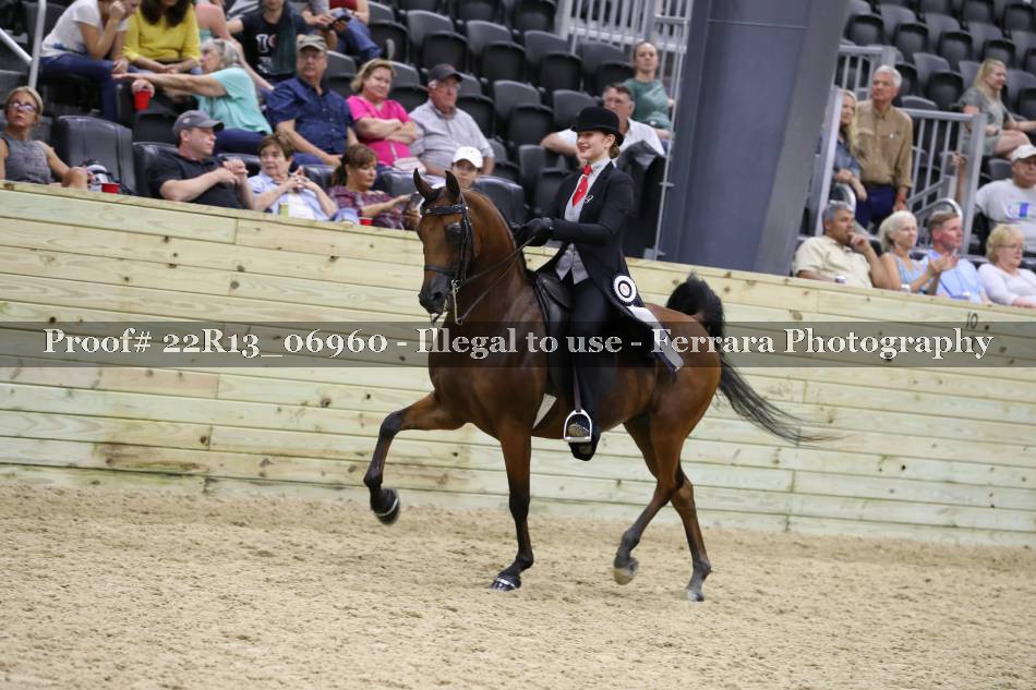 Proof 22R13_06960
