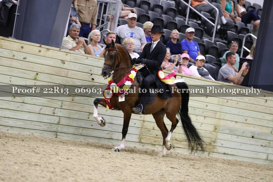 Proof 22R13_06963