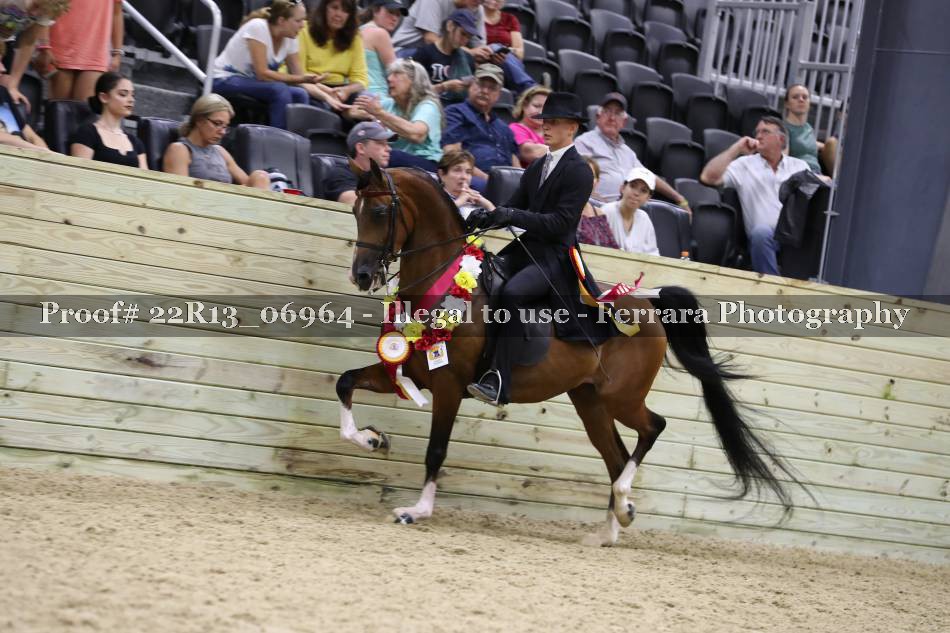 Proof 22R13_06964