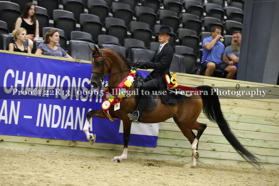 Proof 22R13_06965