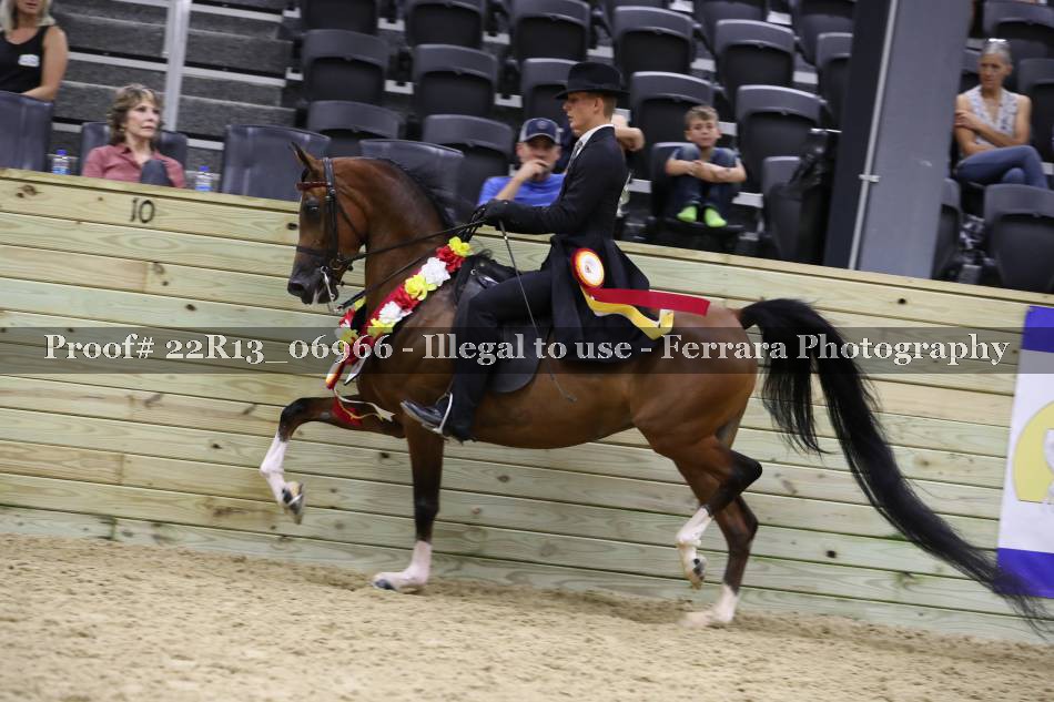 Proof 22R13_06966