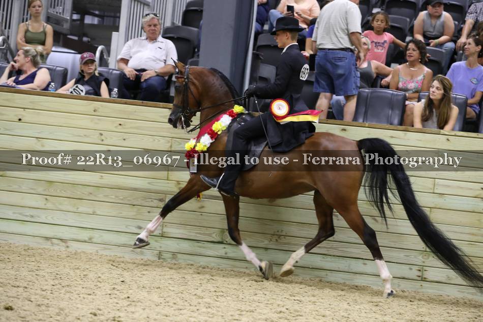 Proof 22R13_06967
