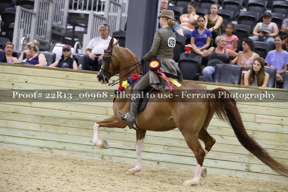 Proof 22R13_06968