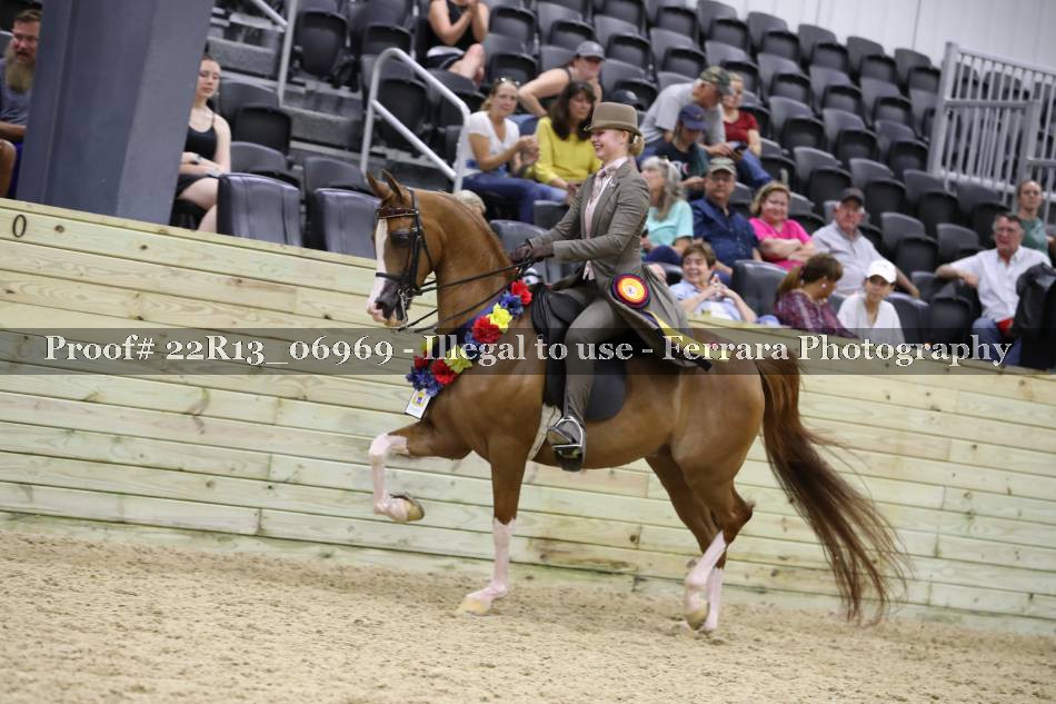 Proof 22R13_06969