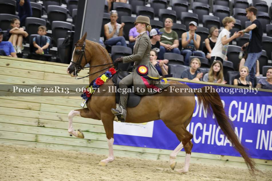 Proof 22R13_06971