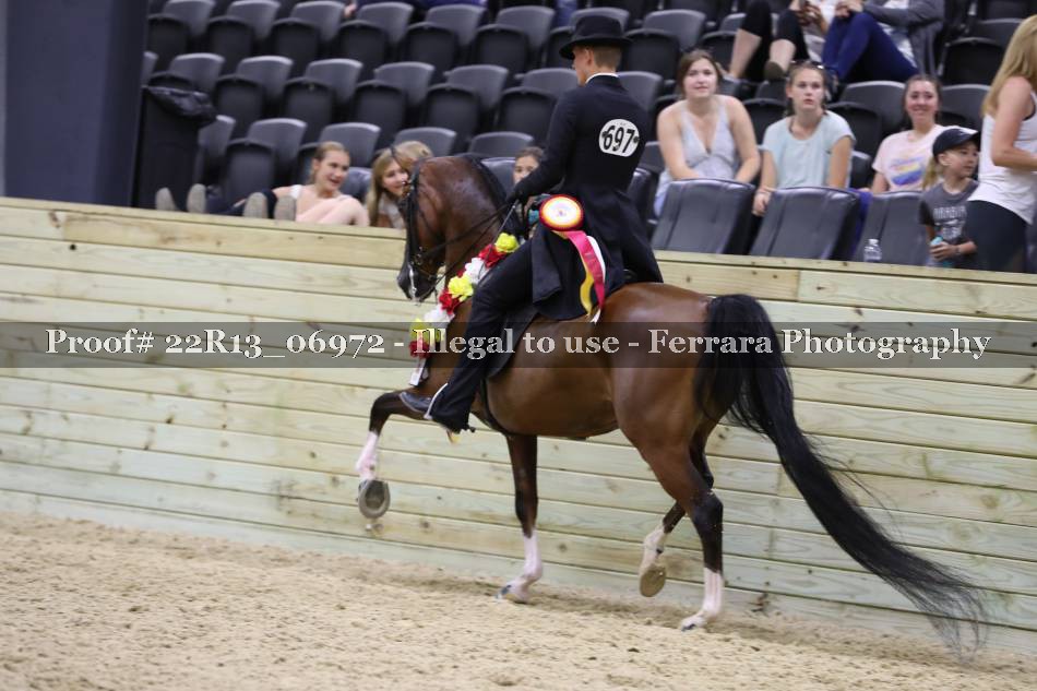 Proof 22R13_06972