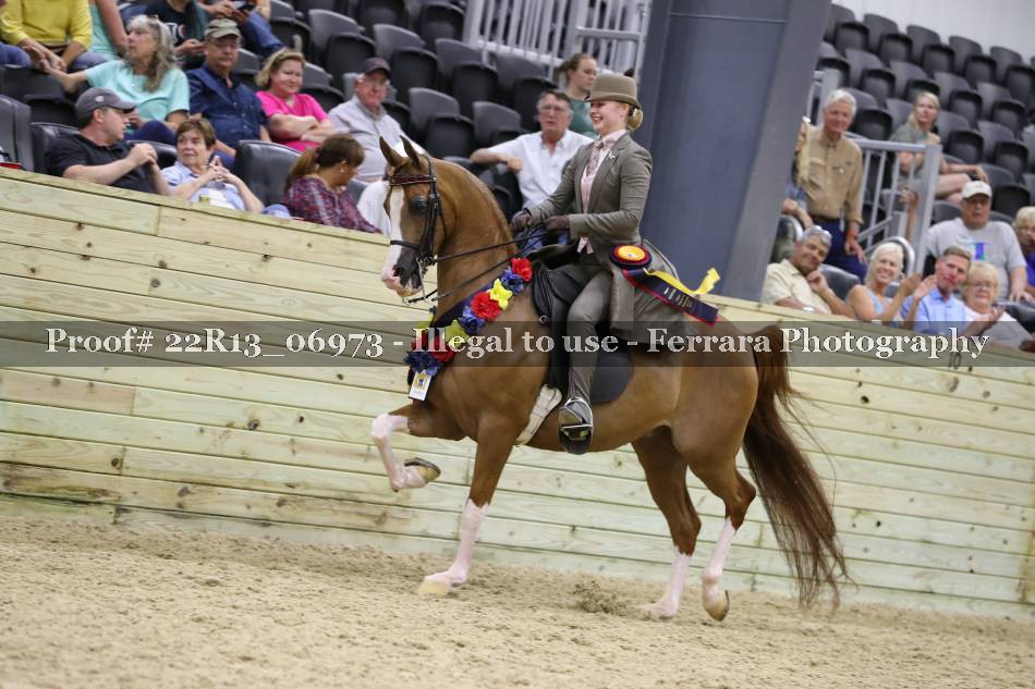 Proof 22R13_06973