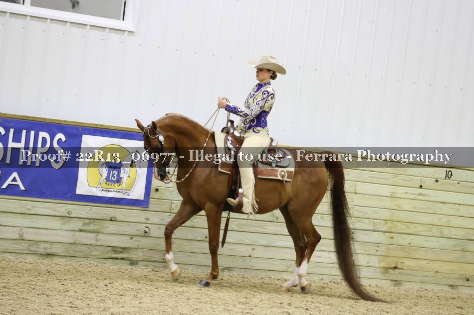Proof 22R13_06977
