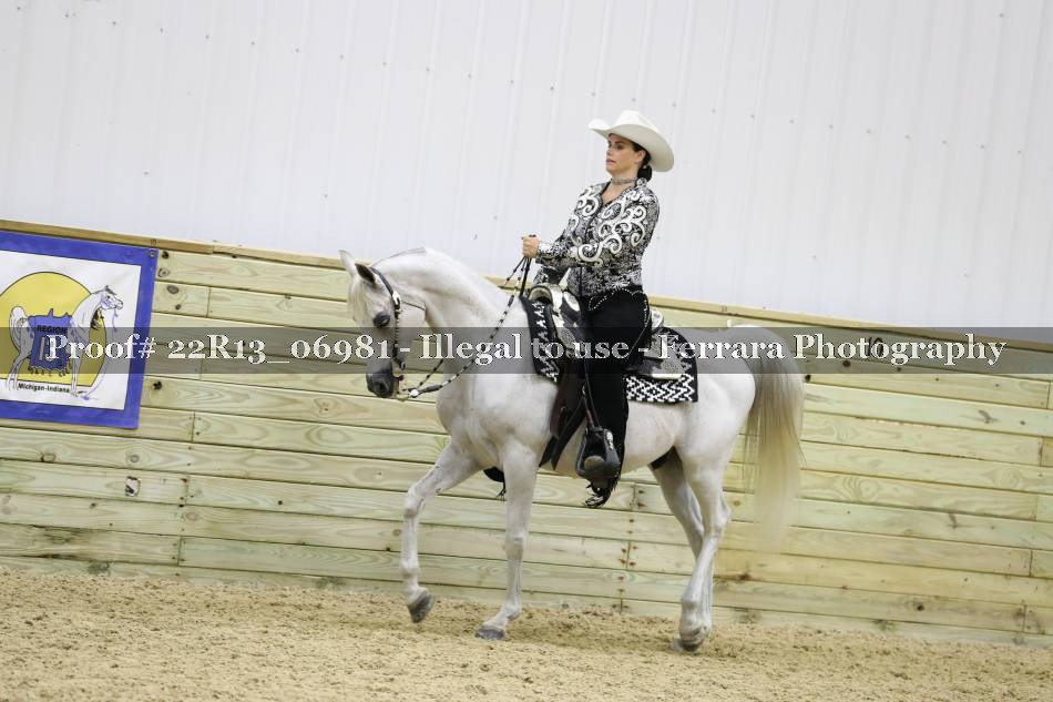 Proof 22R13_06981